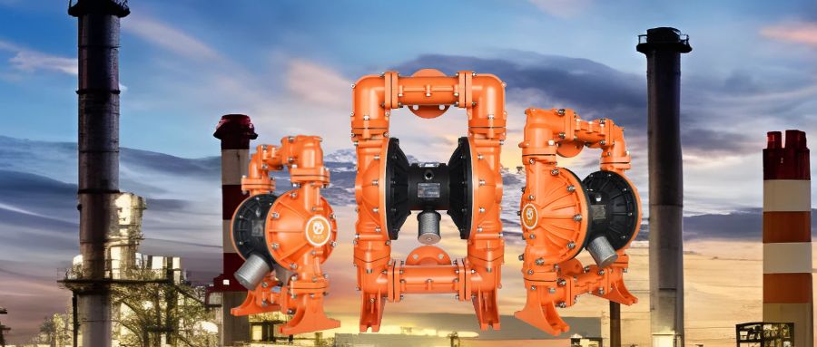 1711506119-9384.jpg 1711506119-9384.jpg