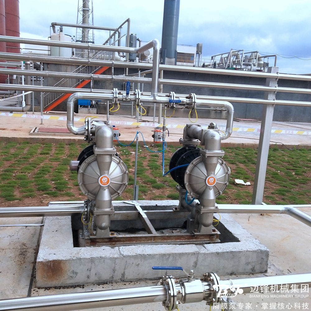 1716187743-8075.jpg 1716187743-8075.jpg