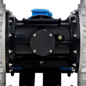 1717479953-2807.jpg 1717479953-2807.jpg