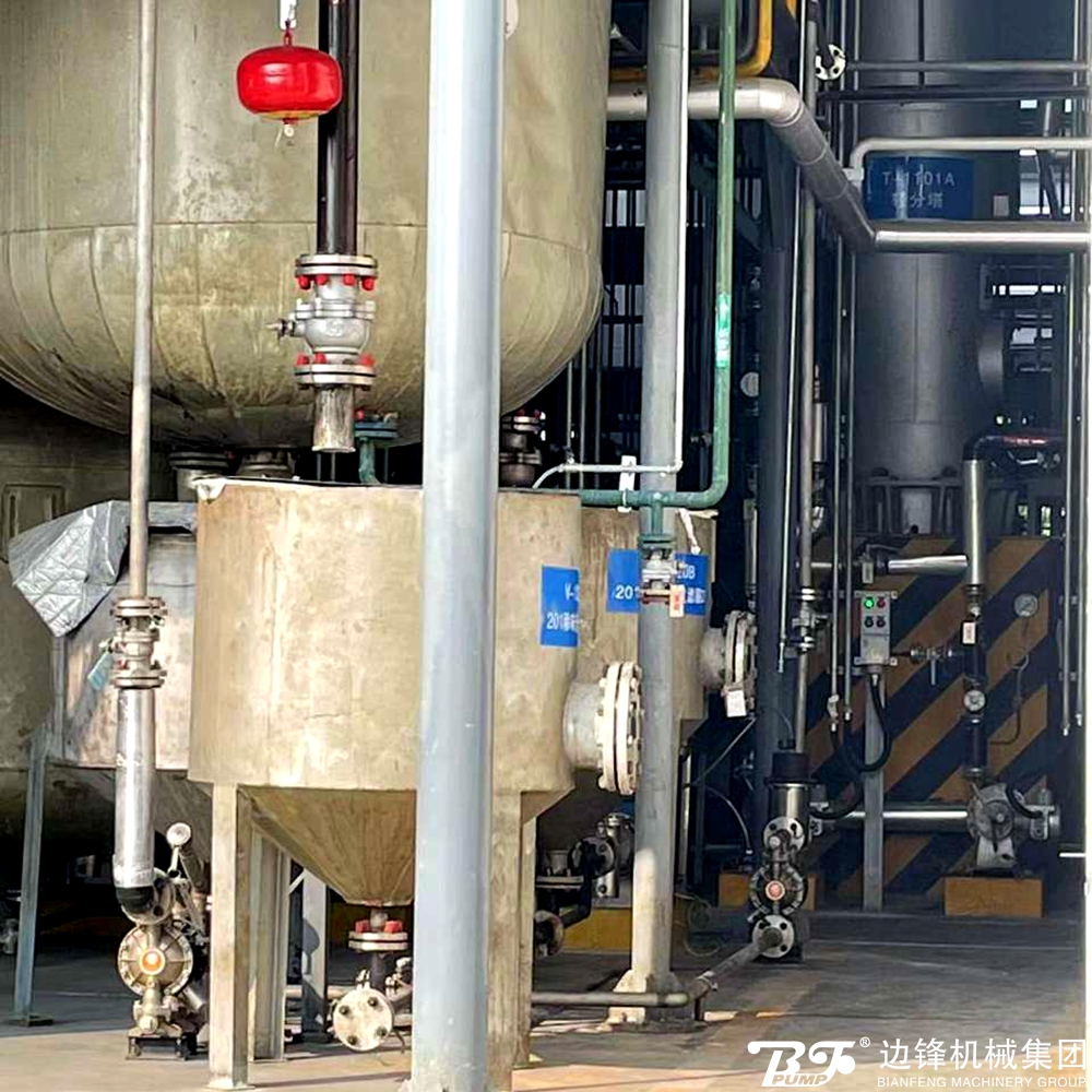 1717552576-3111.jpg 1717552576-3111.jpg