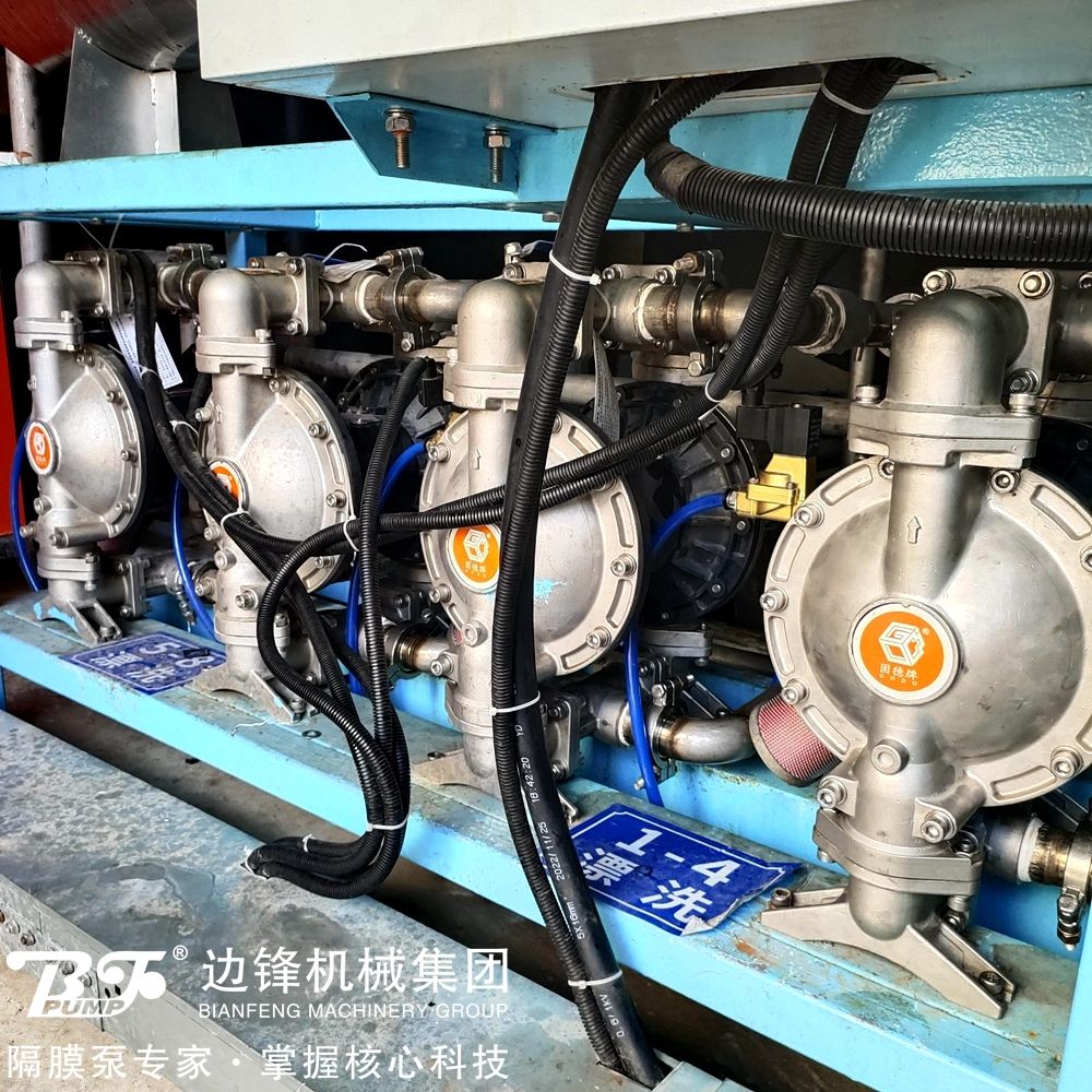 1717642382-8713.jpg 1717642382-8713.jpg