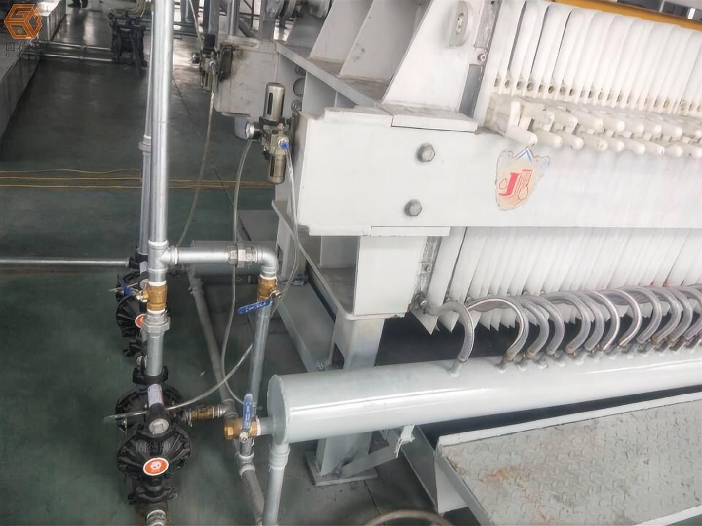 1717722282-7989.jpg 1717722282-7989.jpg