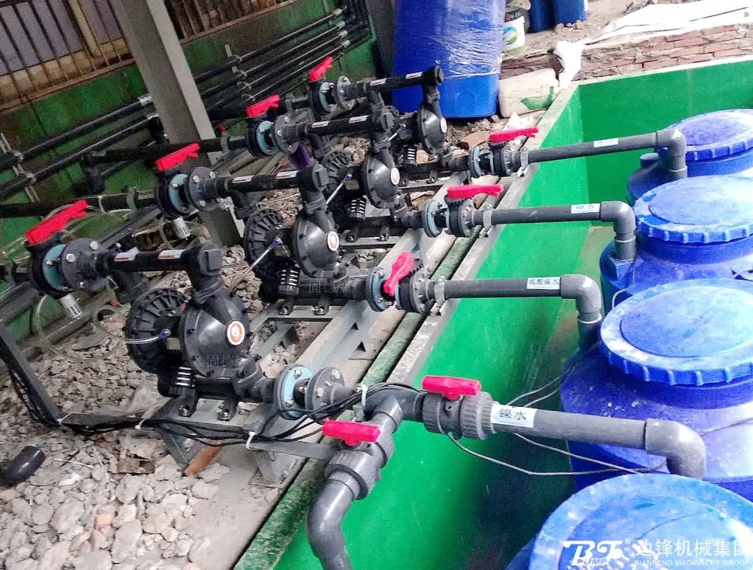 1718068930-4816.jpg 1718068930-4816.jpg