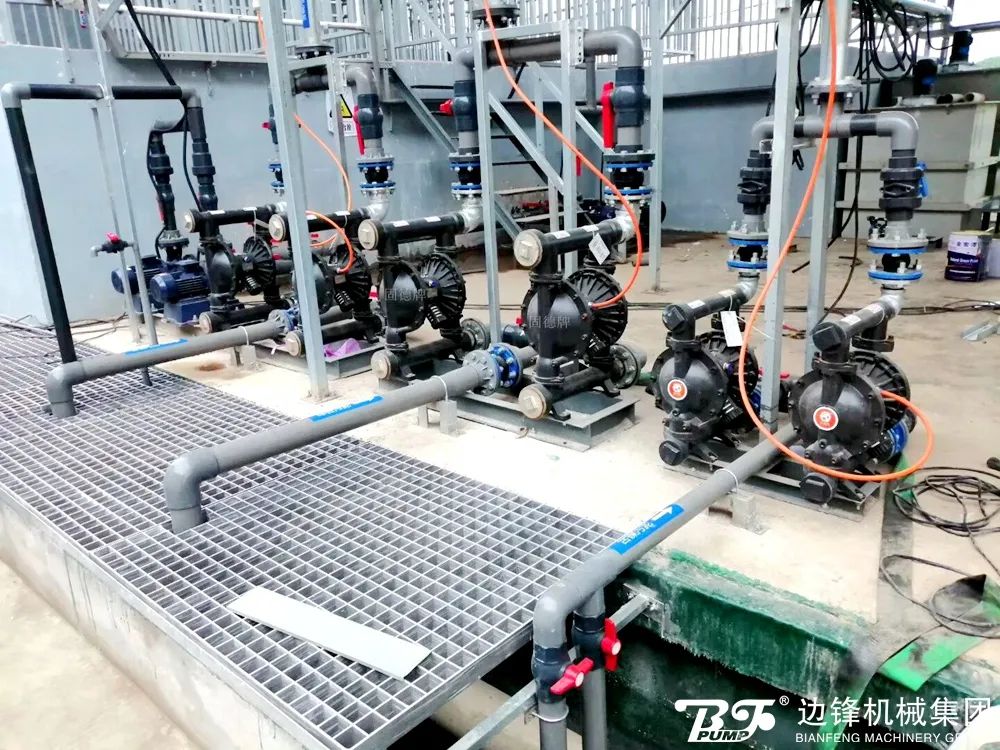 1718069331-8504.jpg 1718069331-8504.jpg