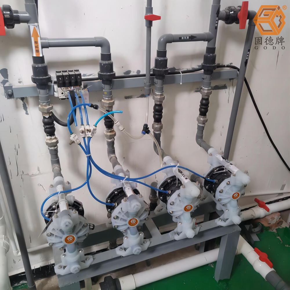 1718676446-2973.jpg 1718676446-2973.jpg