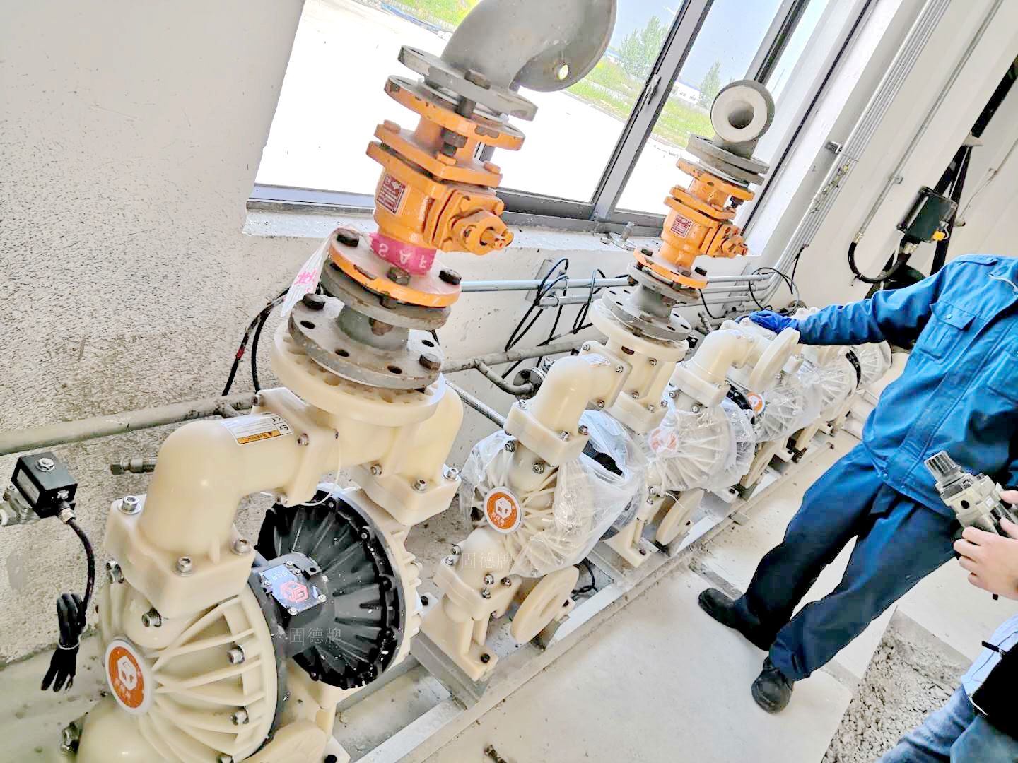 1719280076-7699.jpg 1719280076-7699.jpg