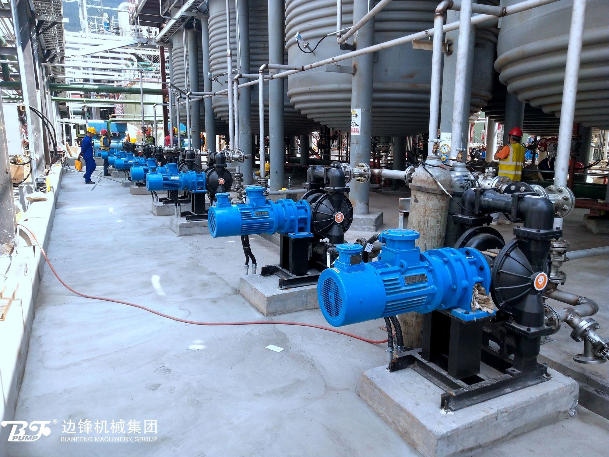 1720663039-8939.jpg 1720663039-8939.jpg