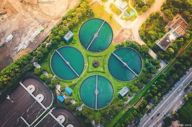 1723425764-5168.jpg 1723425764-5168.jpg