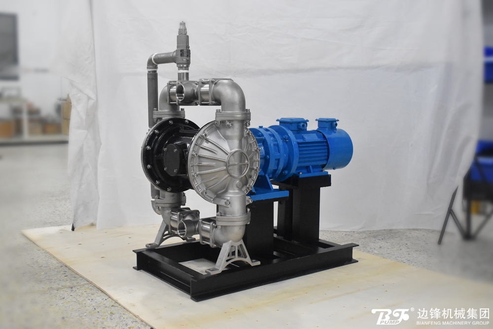 1723599525-3529.jpg 1723599525-3529.jpg