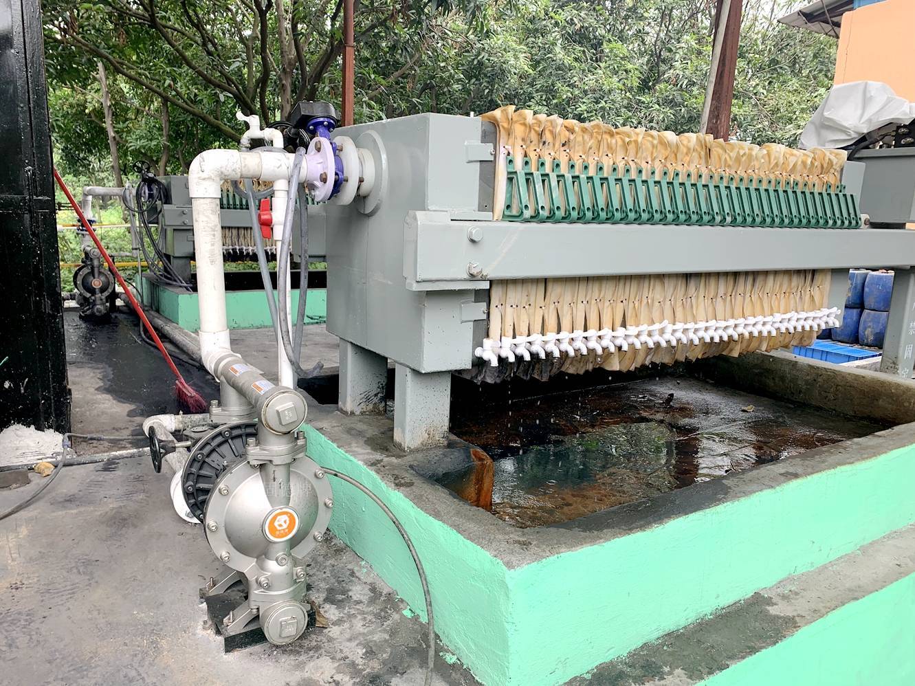 1725326727-8243.jpg 1725326727-8243.jpg